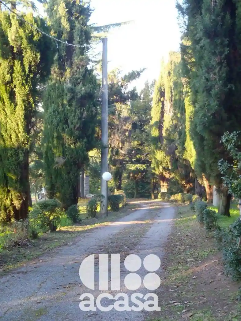 Rustico, buono stato, 308 m², Rio Eremo - Acquarola, Cesena - foto 3