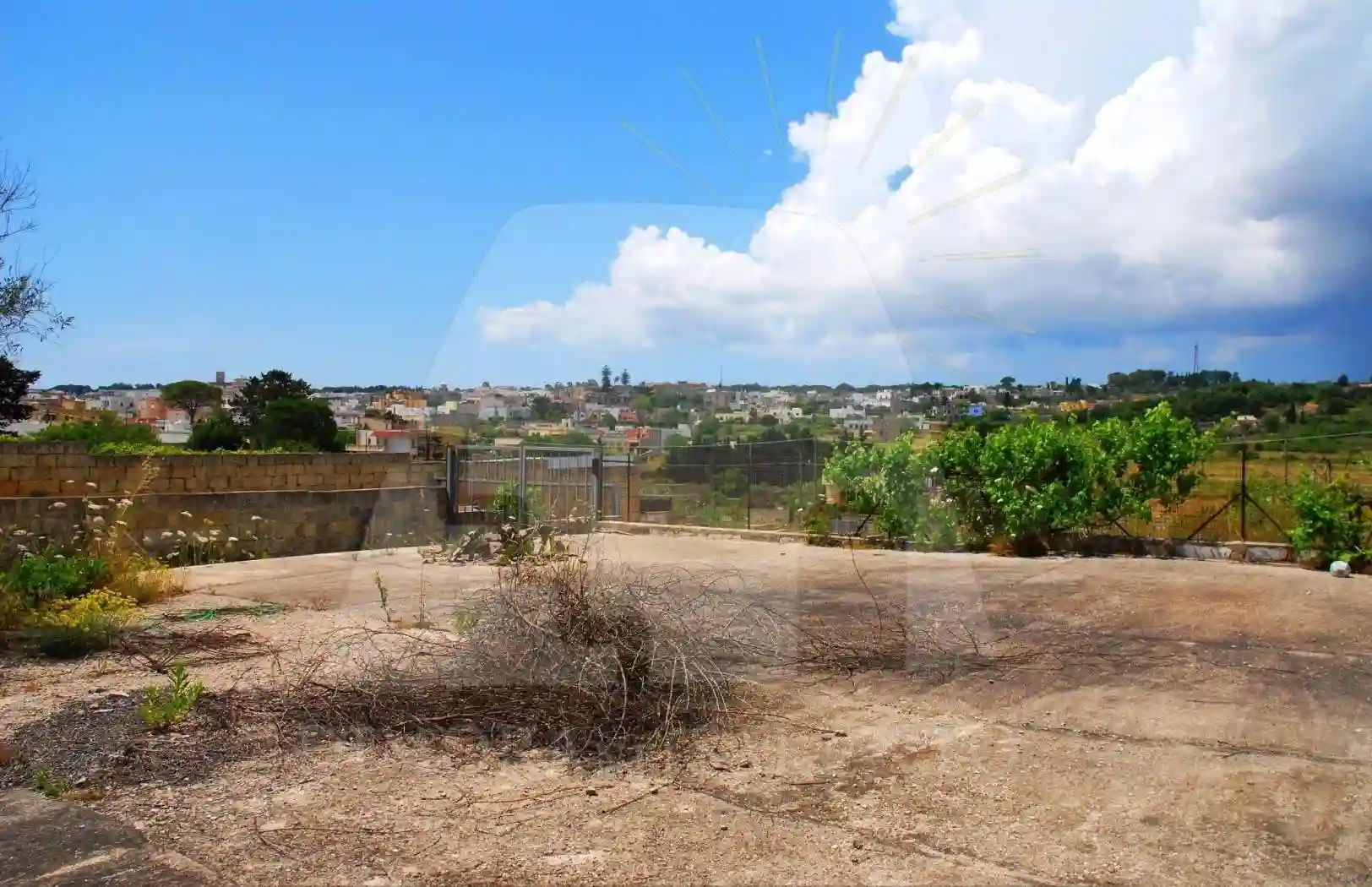 Palazzo - Edificio - foto 3