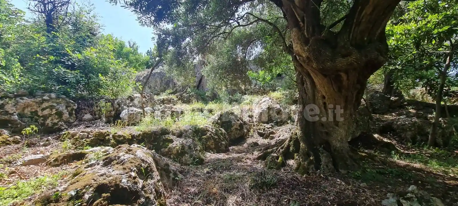 Villa unifamiliare via Timpone 2, Acquafredda, Maratea - foto 4