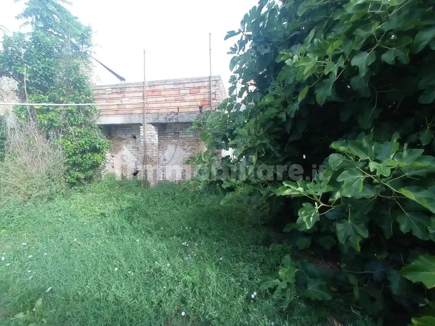 Casa indipendente in vendita a Cepagatti