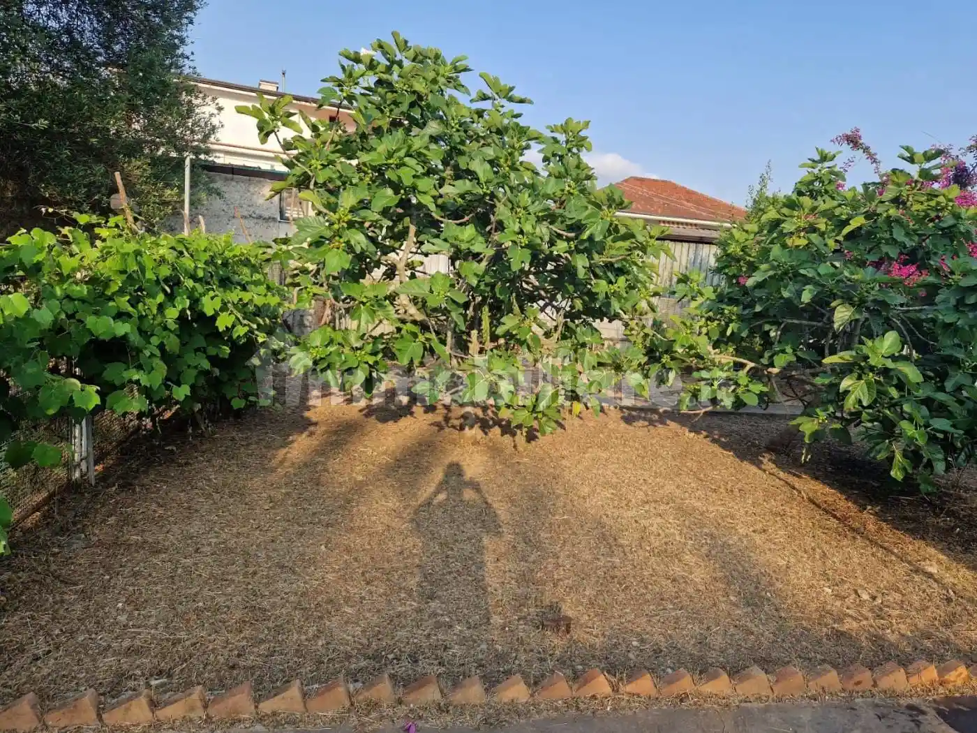 Villa a schiera Contrada San Pietro 13, Vibonati - foto 4