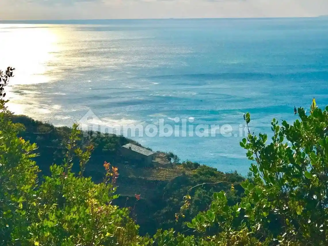 Rustico - Casale in vendita a Riomaggiore