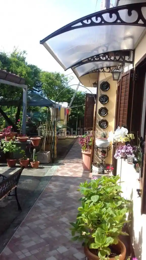 Appartamento in affitto a Centola