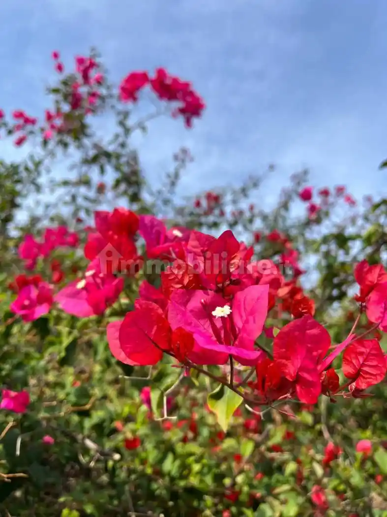 Villa in vendita a Monreale