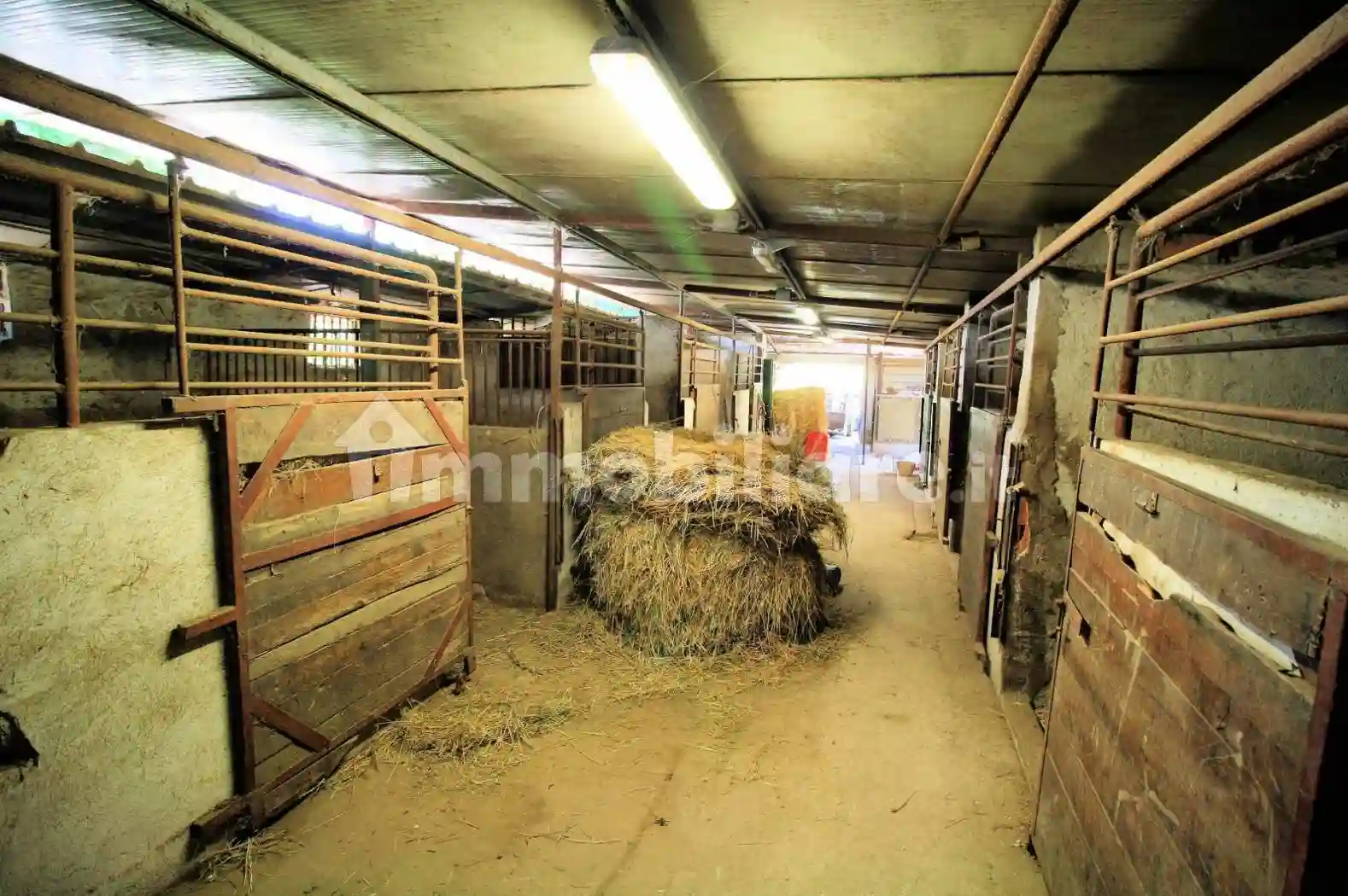 Rustico - Casale - foto 4