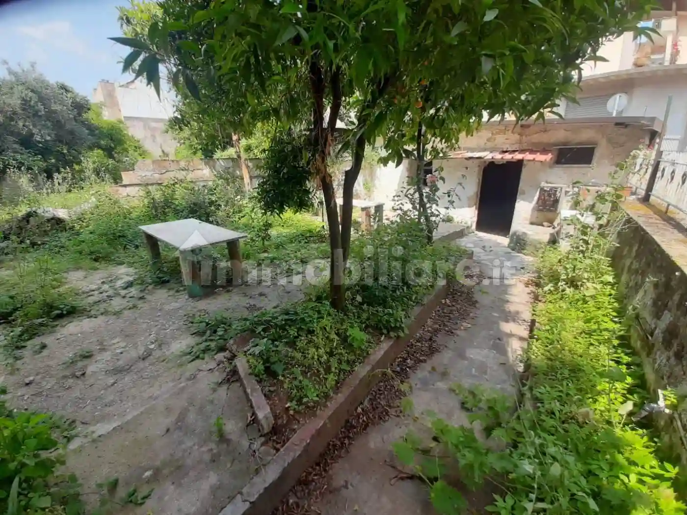 Palazzo - Edificio - foto 4