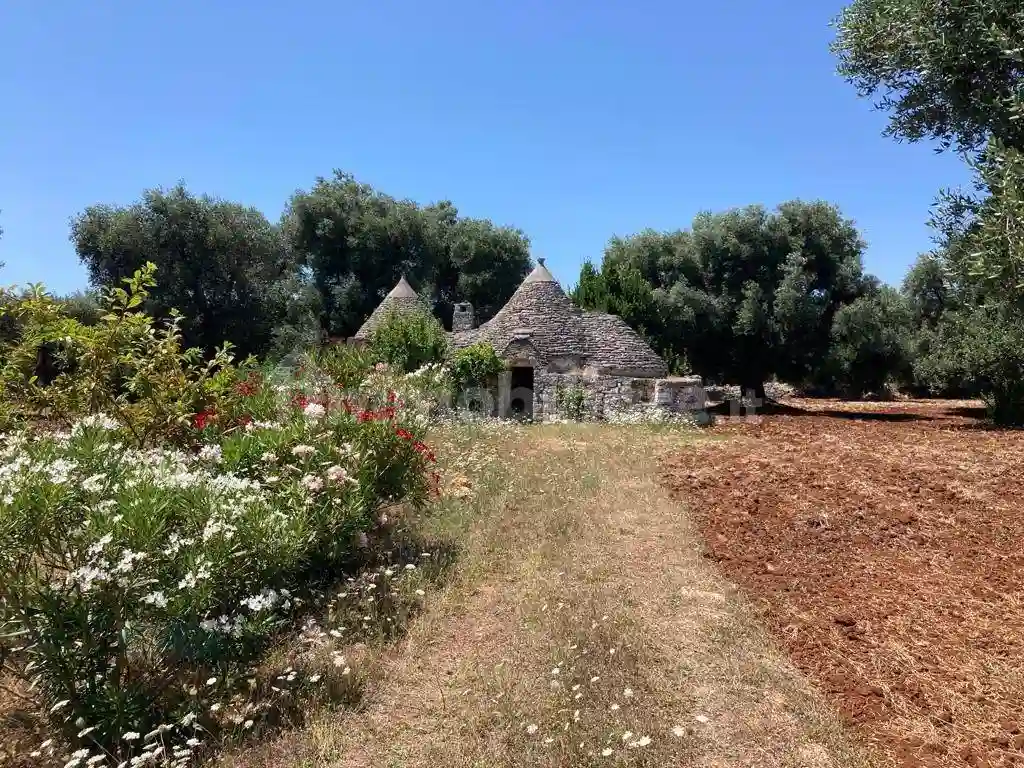 Rustico - Casale - foto 3