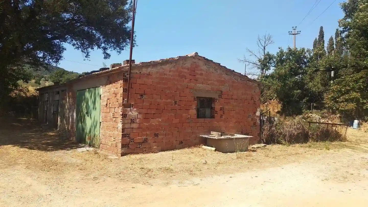 Palazzo - Edificio - foto 5