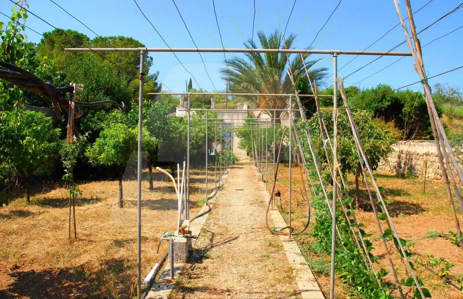 Rustico - Casale in vendita a Alessano