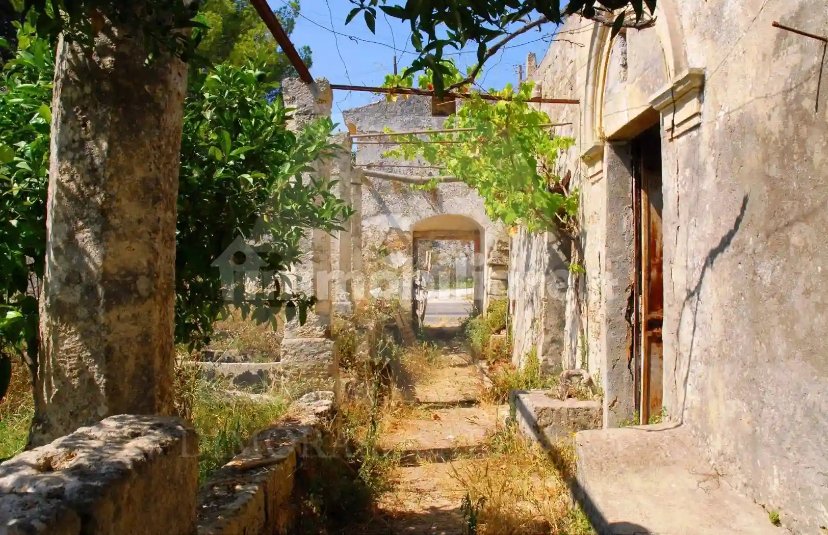 Rustico - Casale - foto 3