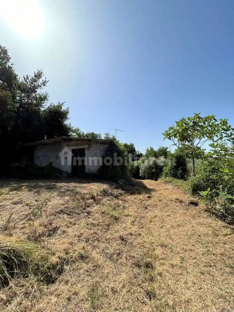 Villa in vendita a Poggio Catino