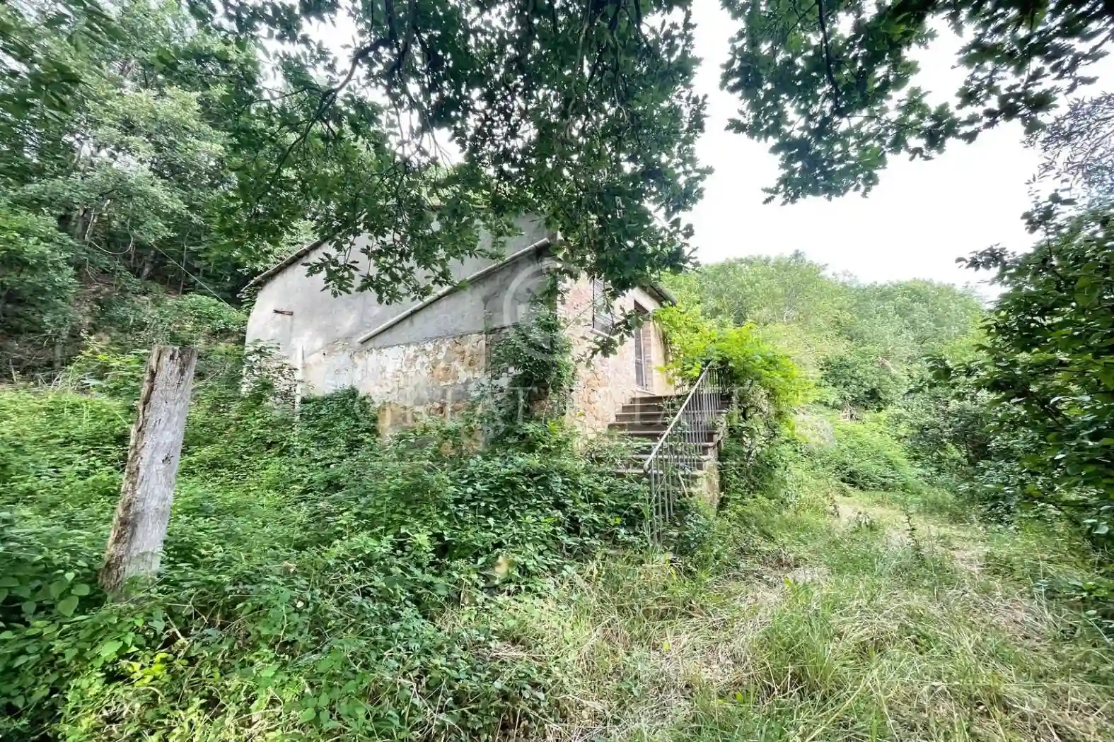 Rustico - Casale - foto 4