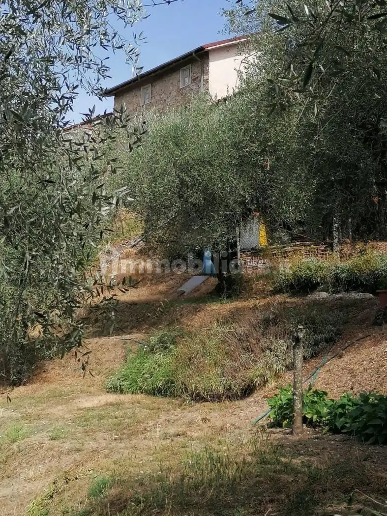Casa indipendente in vendita a Lucca