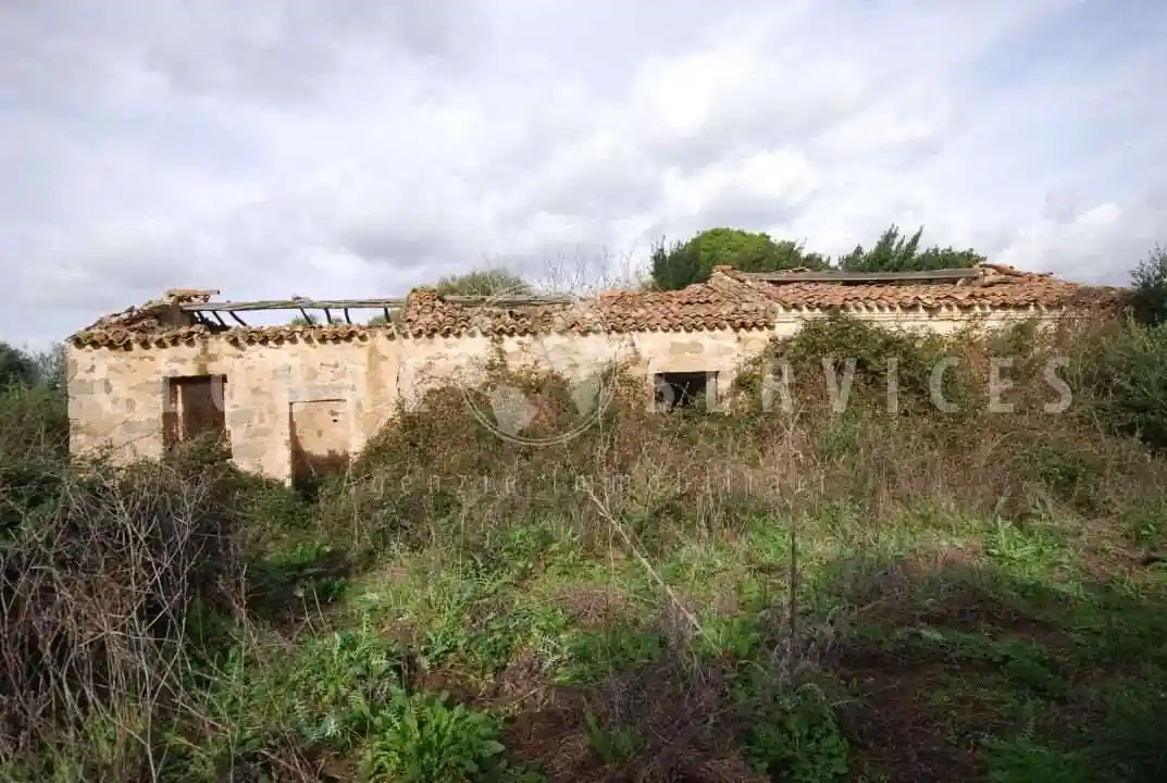 Rustico - Casale in vendita a Arzachena