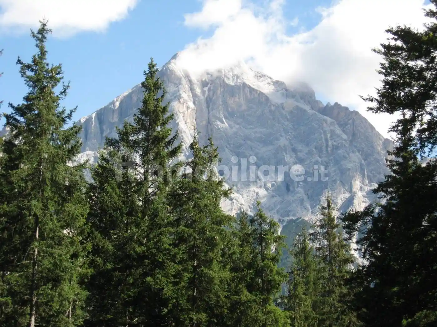 Villa in vendita a Borca di Cadore
