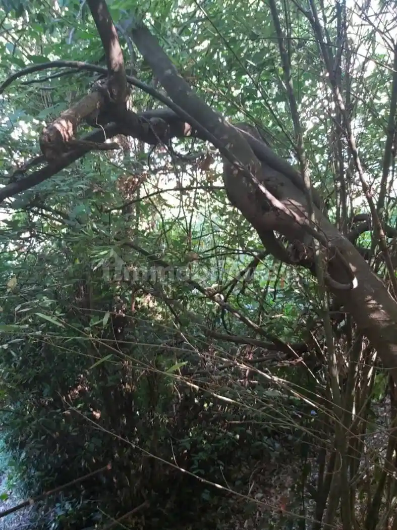 Casa indipendente in vendita a Carrara