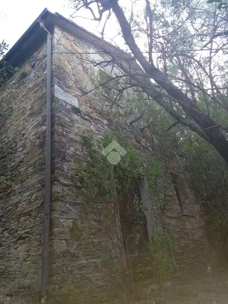 Rustico - Casale in vendita a Carasco