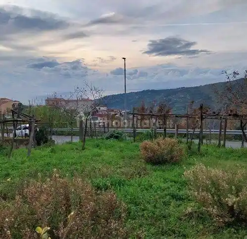 Trilocale Ss18, Mezzane Massette, Buonvicino - foto 2