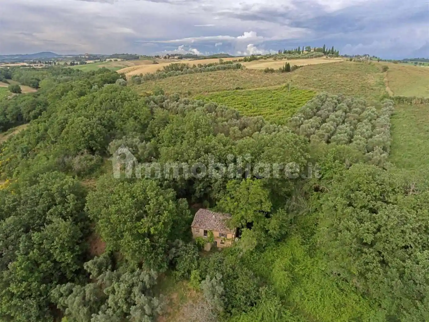 Rustico - Casale in vendita a Pienza