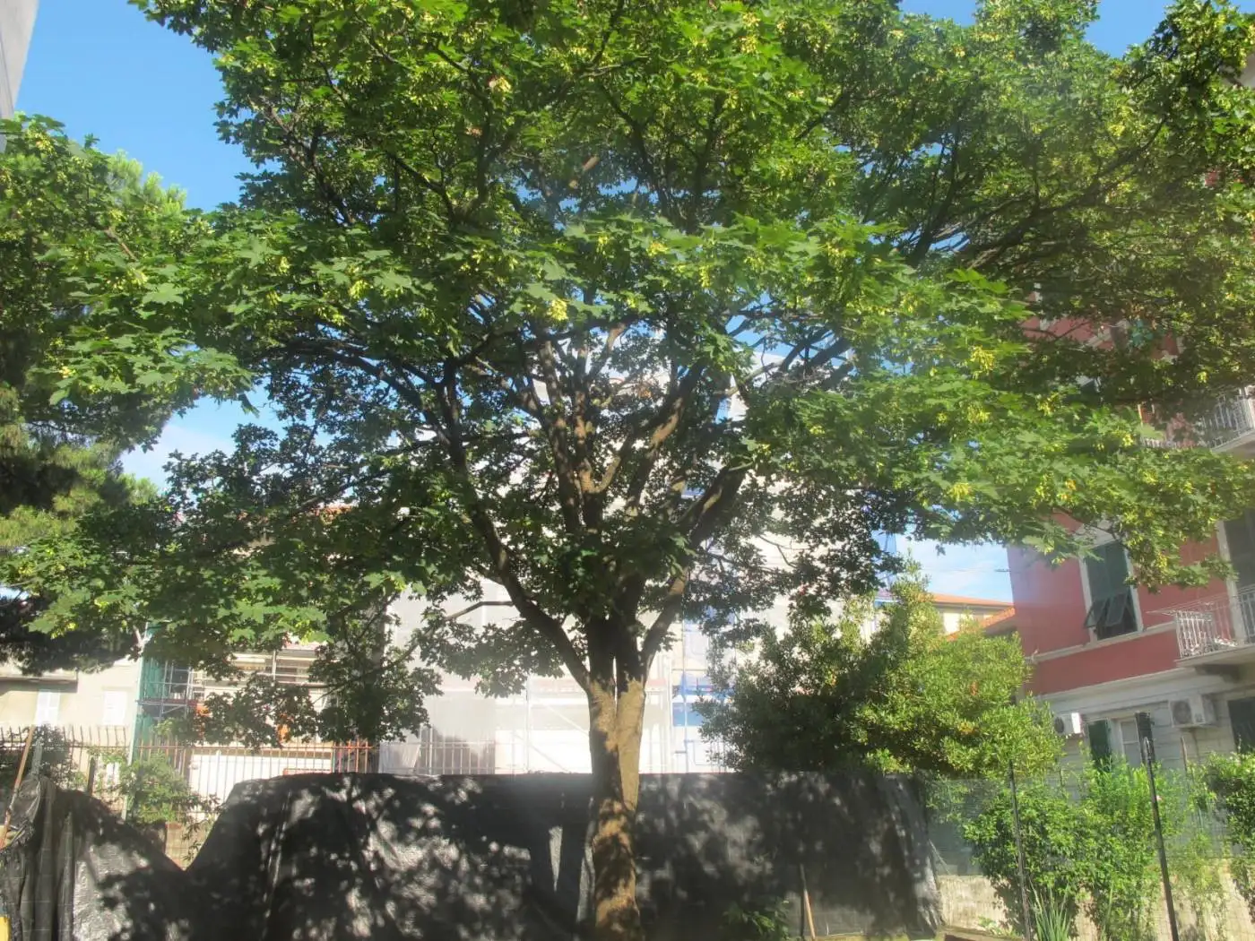 Appartamento in vendita a La Spezia