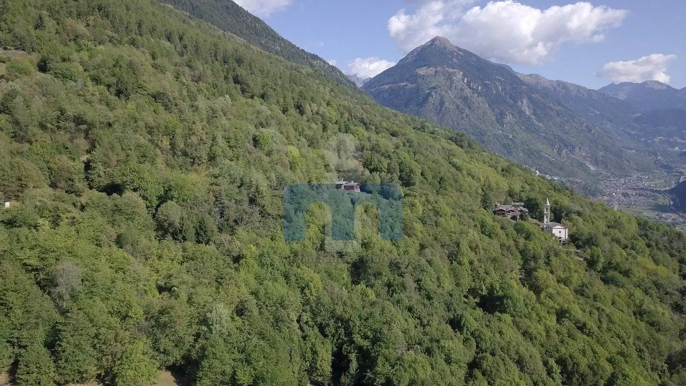 Rustico - Casale in vendita a Vervio