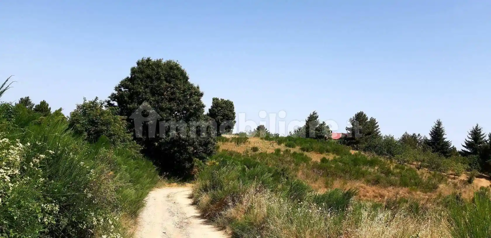 Rustico - Casale in vendita a Acri