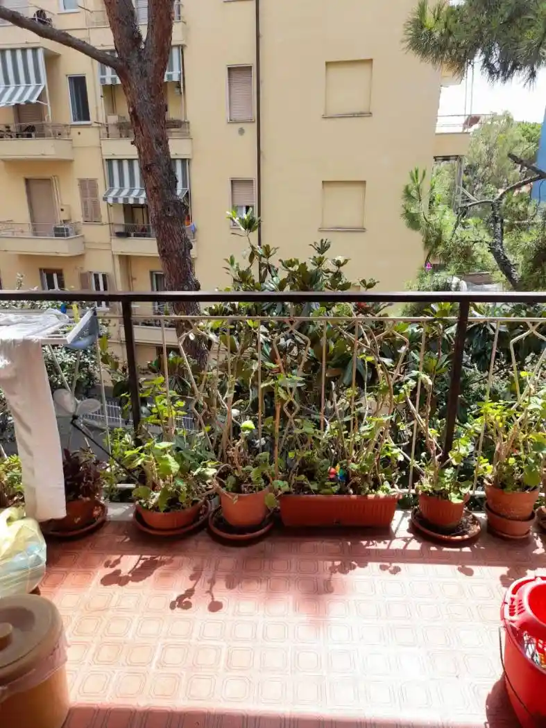 Bilocale corso degli Inglesi 664, Solaro, Sanremo - foto 2