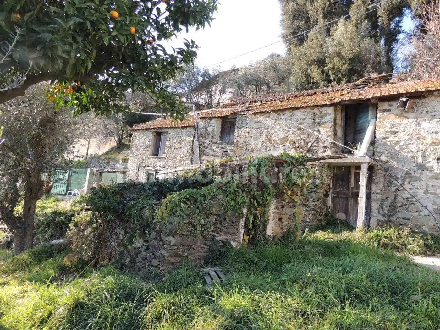 Rustico via Nuova Cantalupo, Cantalupo, Varazze - foto 4