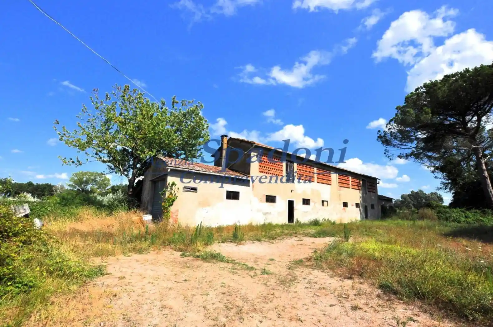 Rustico - Casale in vendita a Ponte Buggianese