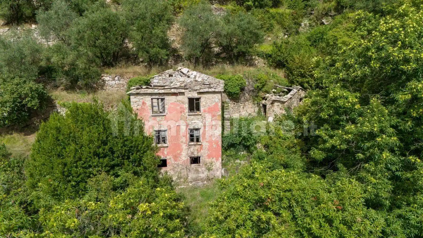 Rustico - Casale in vendita a Ne