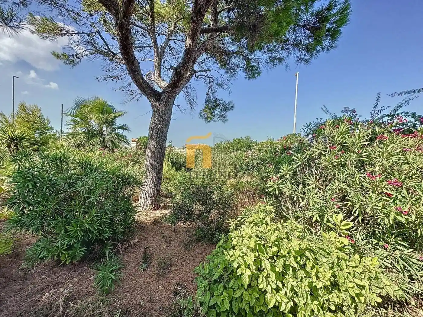 Villa unifamiliare via dell'Allodola, Torre Chianca, Lecce - foto 3