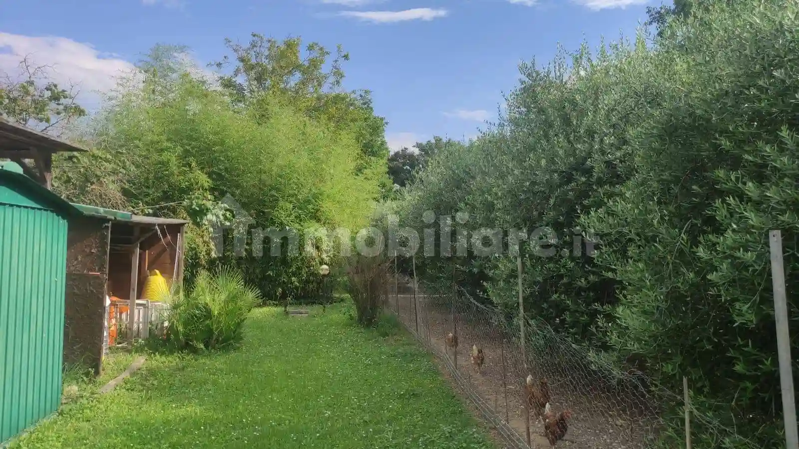 Rustico - Casale - foto 4