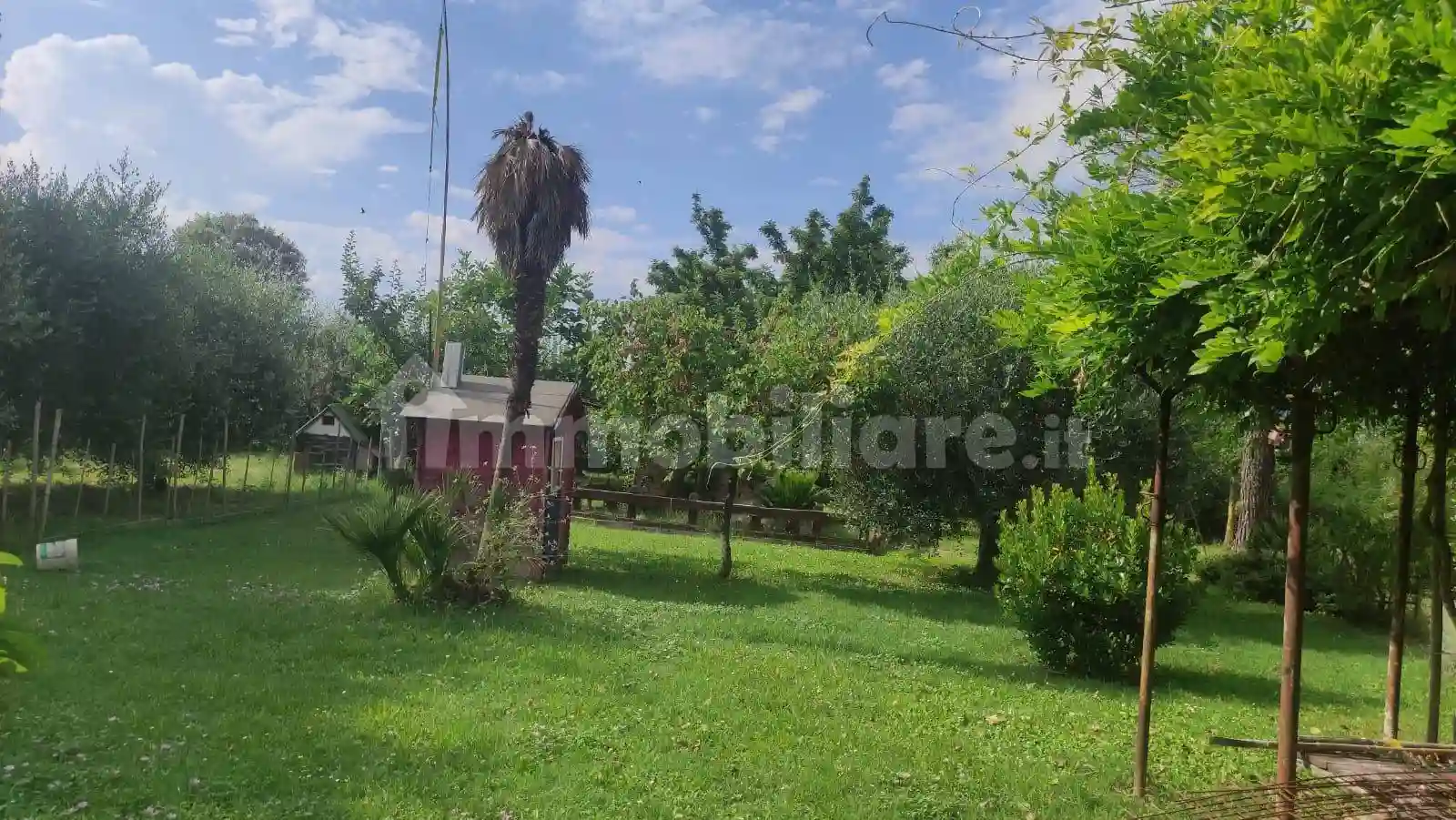 Rustico - Casale - foto 5