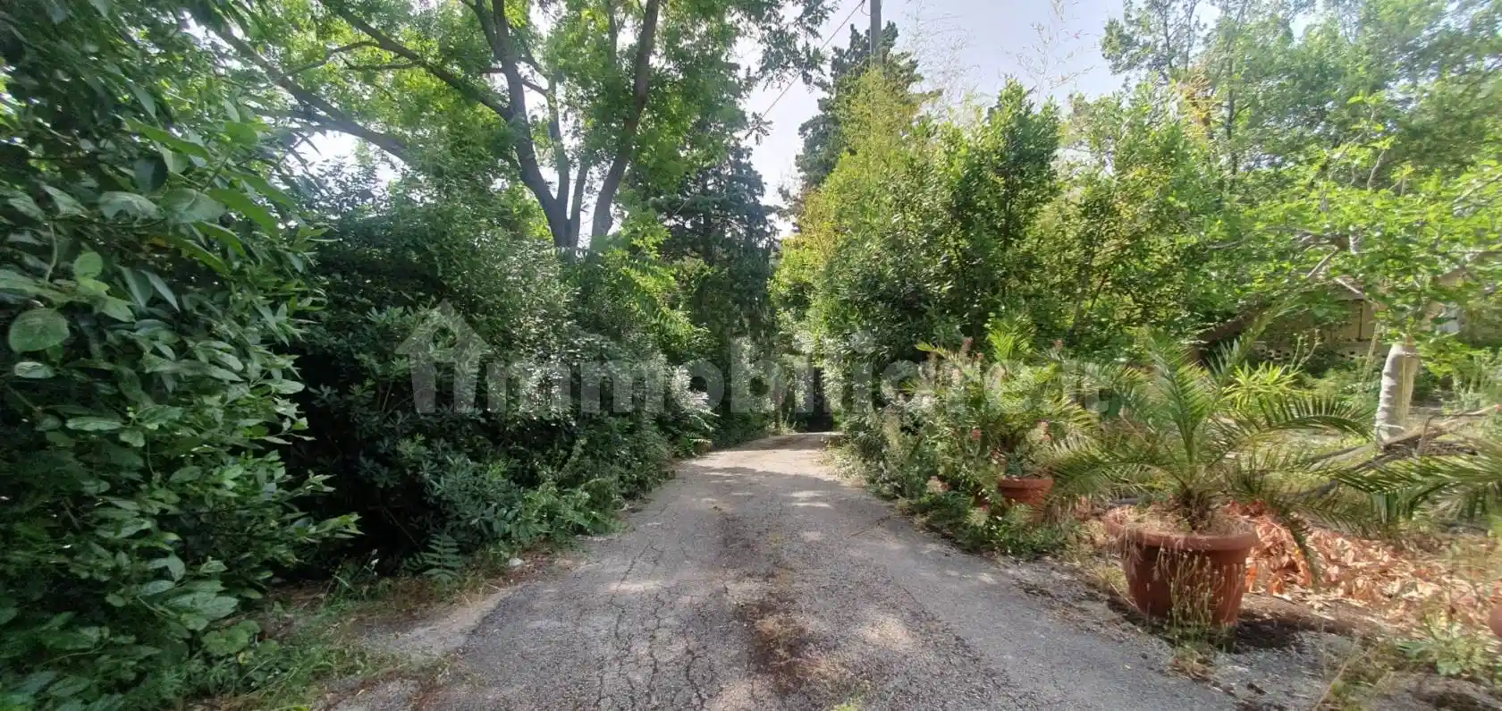 Casa colonica via Paoletto, Paterno, Ancona - foto 2