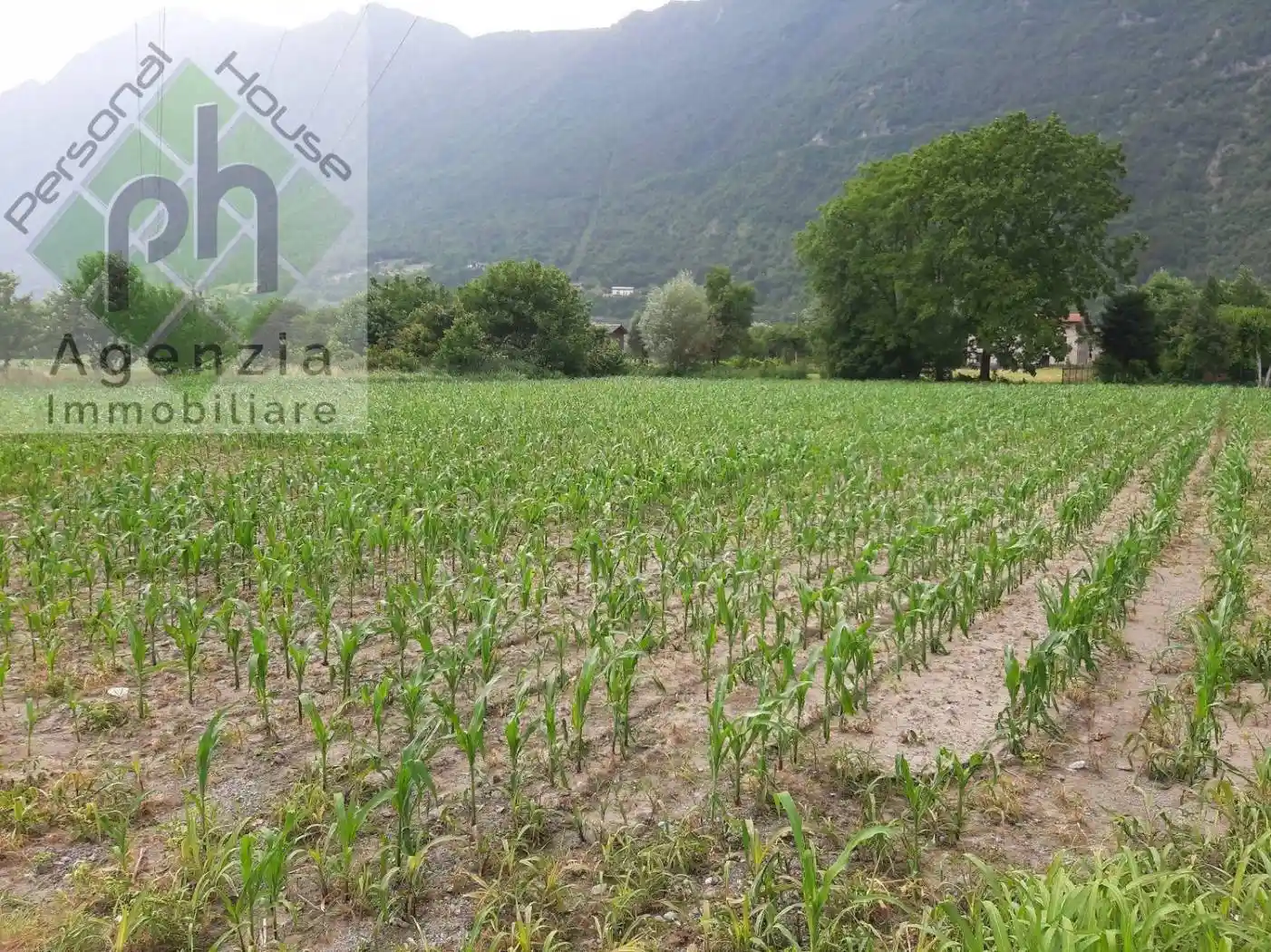 Villa unifamiliare via Papa Giovanni XXIII, Ponte Caffaro, Bagolino - foto 4