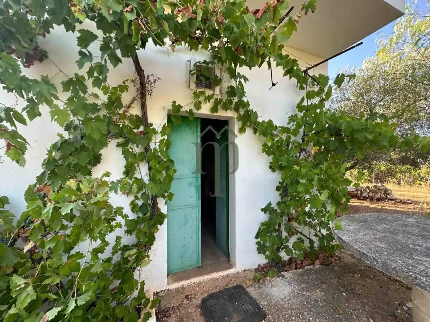 Rustico - Casale in vendita a Ostuni