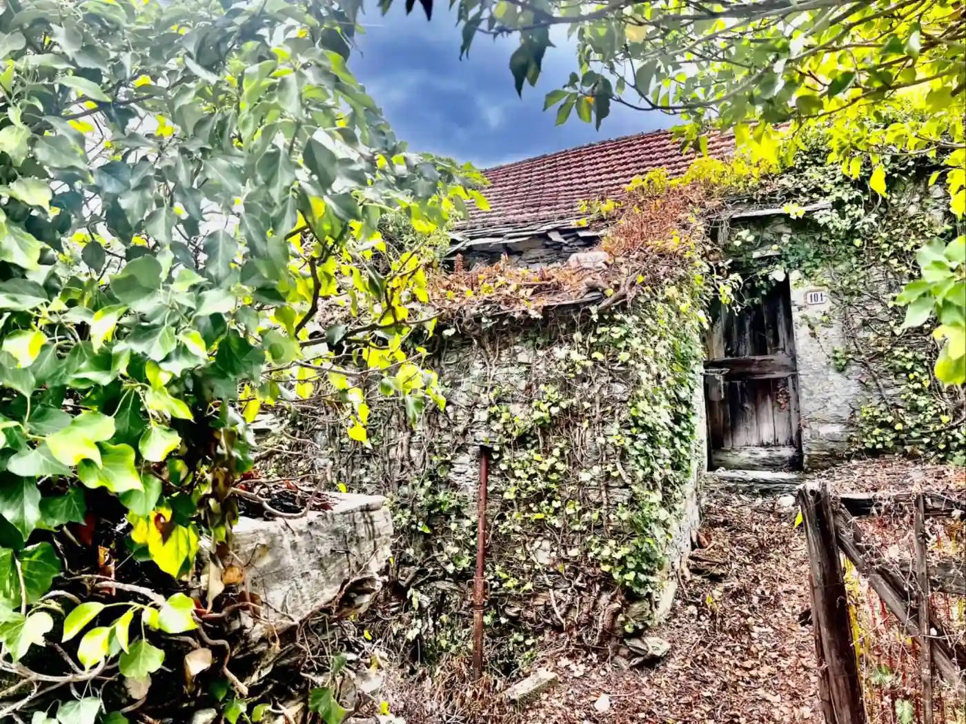 Rustico - Casale - foto 2