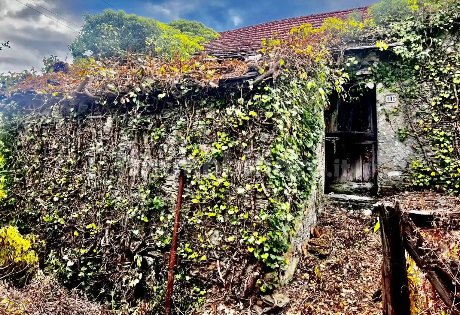 Rustico - Casale - foto 3