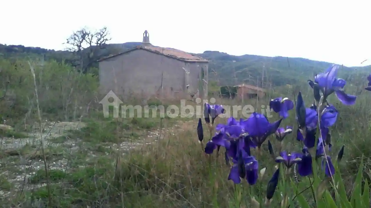 Rustico - Casale in vendita a San Venanzo