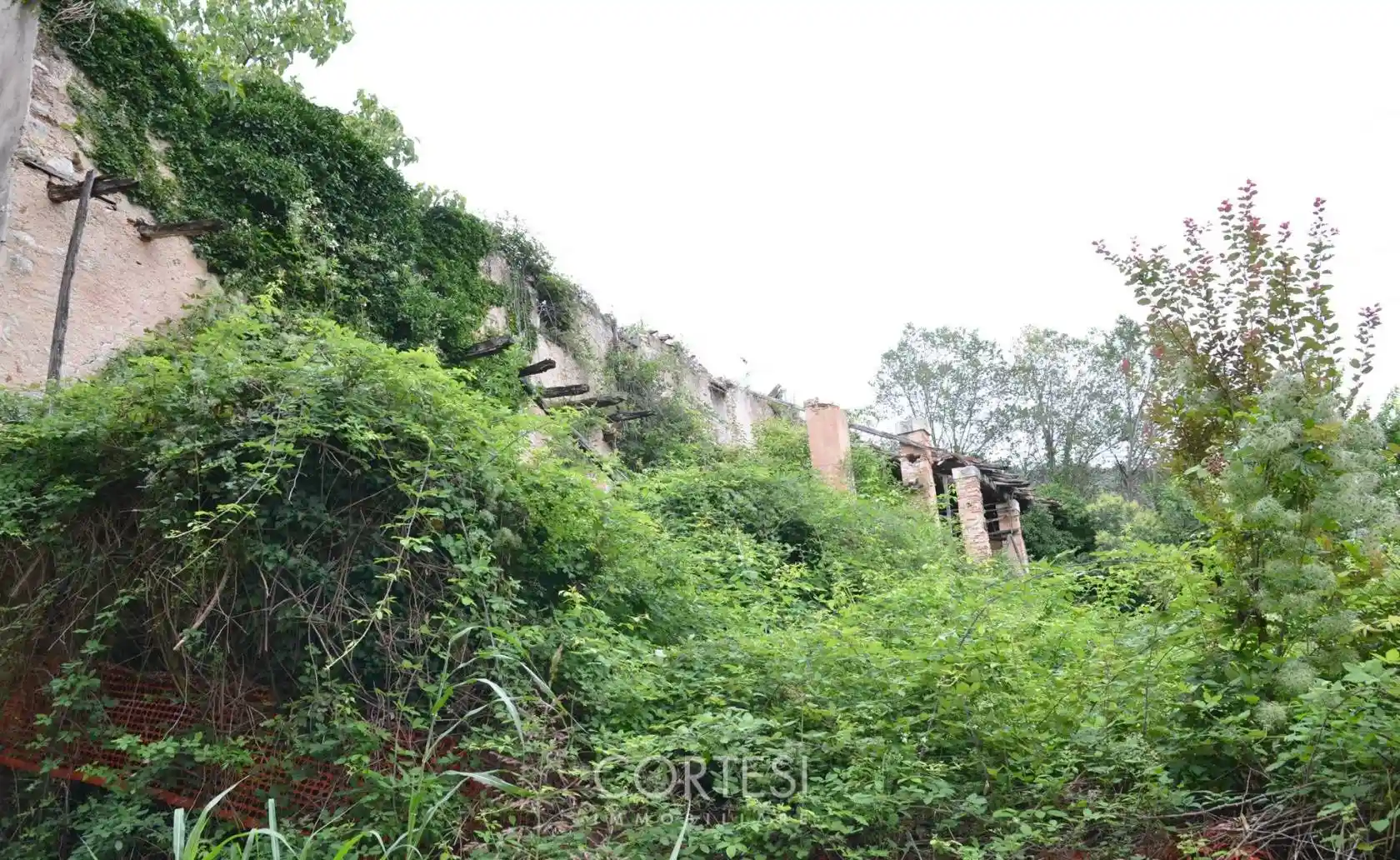 Cascina via Cesare Battisti 83, Centro, Zandobbio - foto 4