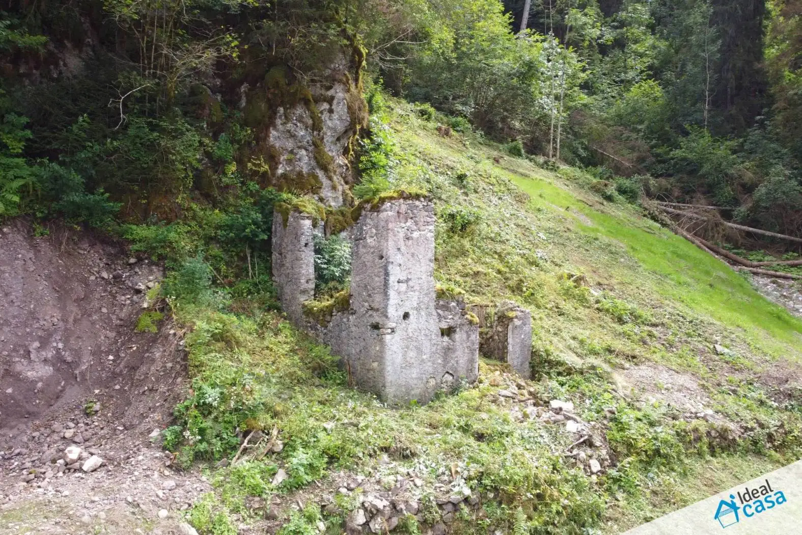 Rustico - Casale in vendita a Primiero San Martino di Castrozza