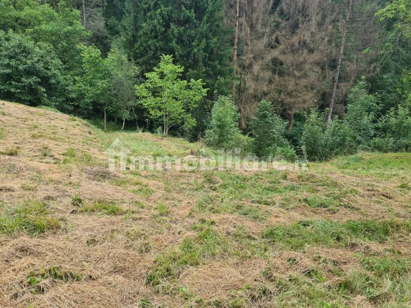 Casa indipendente in vendita a Capovalle