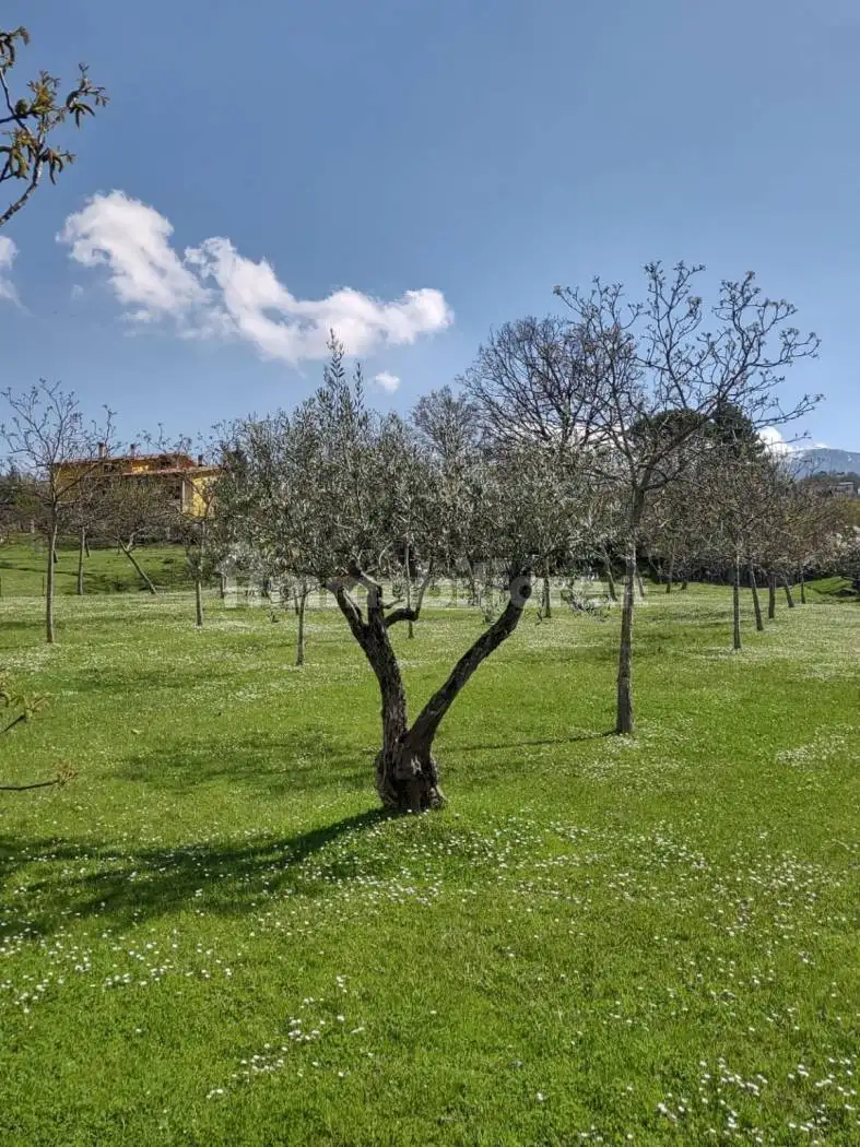 Villa in vendita a Guardiaregia