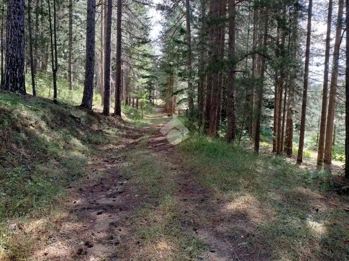 Villa unifamiliare Localita' zarella, Spezzano della Sila - foto 5