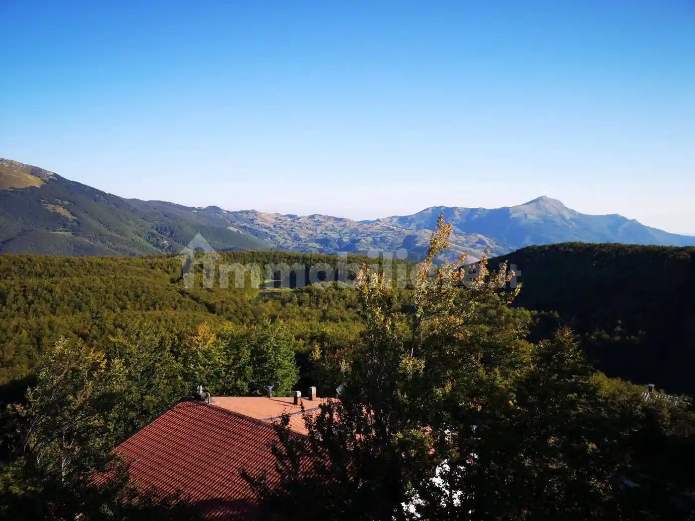 Appartamento in affitto a Ventasso