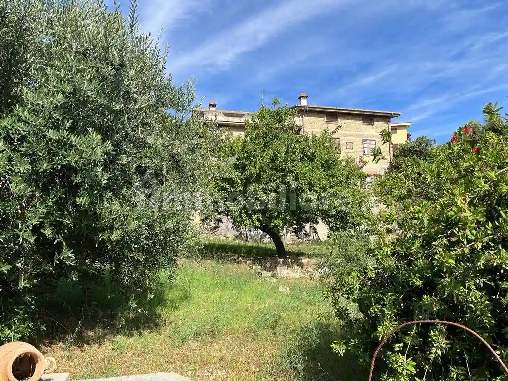 Palazzo - Edificio - foto 3