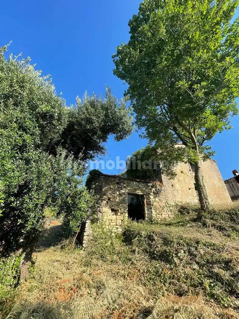 Rustico - Casale in vendita a Castelnuovo Cilento
