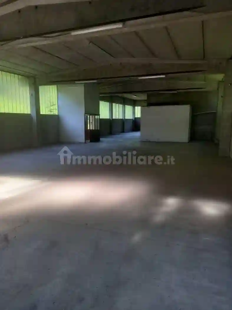 Palazzo - Edificio - foto 4