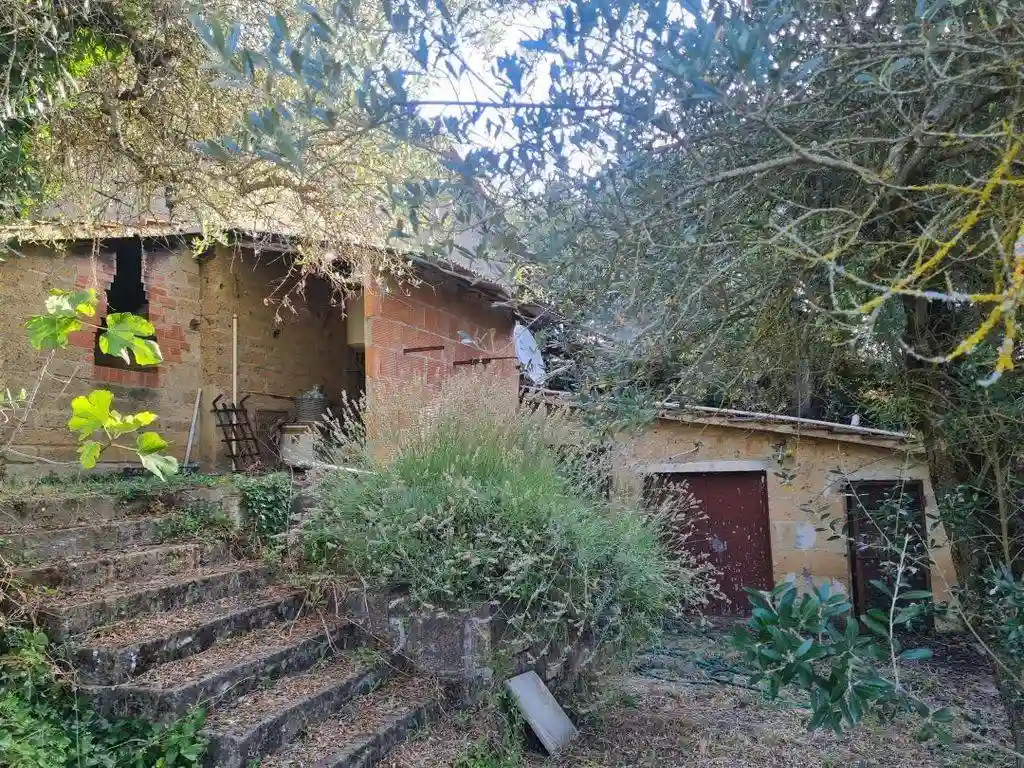 Rustico - Casale - foto 3