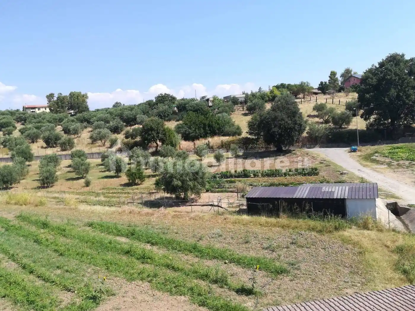 Appartamento in villa via Gian Vincenzo Gravina 20, Roggiano Gravina - foto 3